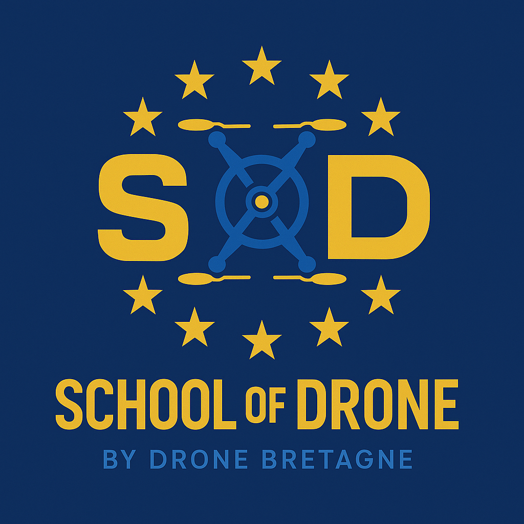School of Drone